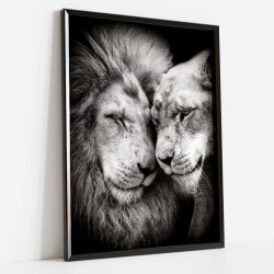 quadro leão e leoa-preto e branco 02