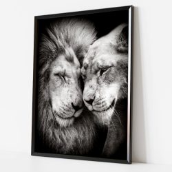 quadro leão e leoa-preto e branco 03