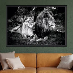 Quadro Leão e Leoa Preto e Branco Savanna 03