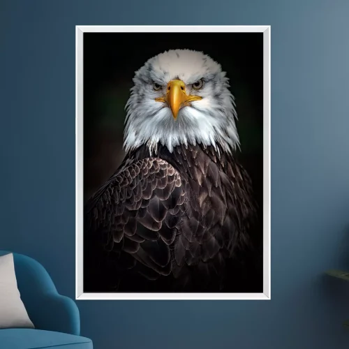Quadro Águia Asas da Liberdade 01