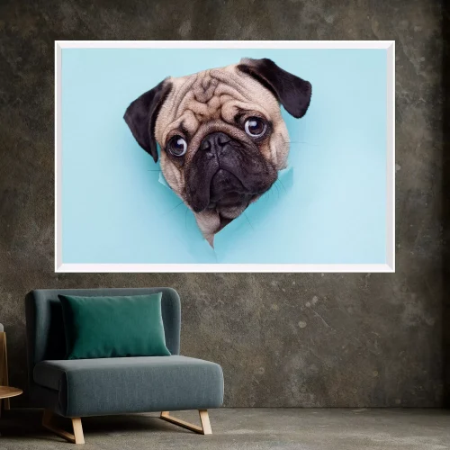 Quadro Cachorro Bulldog Explorando o Mundo 01