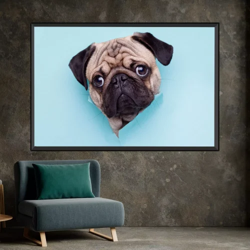Quadro Cachorro Bulldog Explorando o Mundo 03